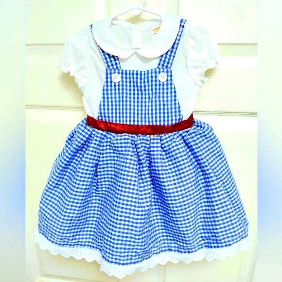 Gymboree | Costumes | Gymboree Blue And White Gingham Dress Wred Accents  Dorothy Costume Halloween | Poshmark